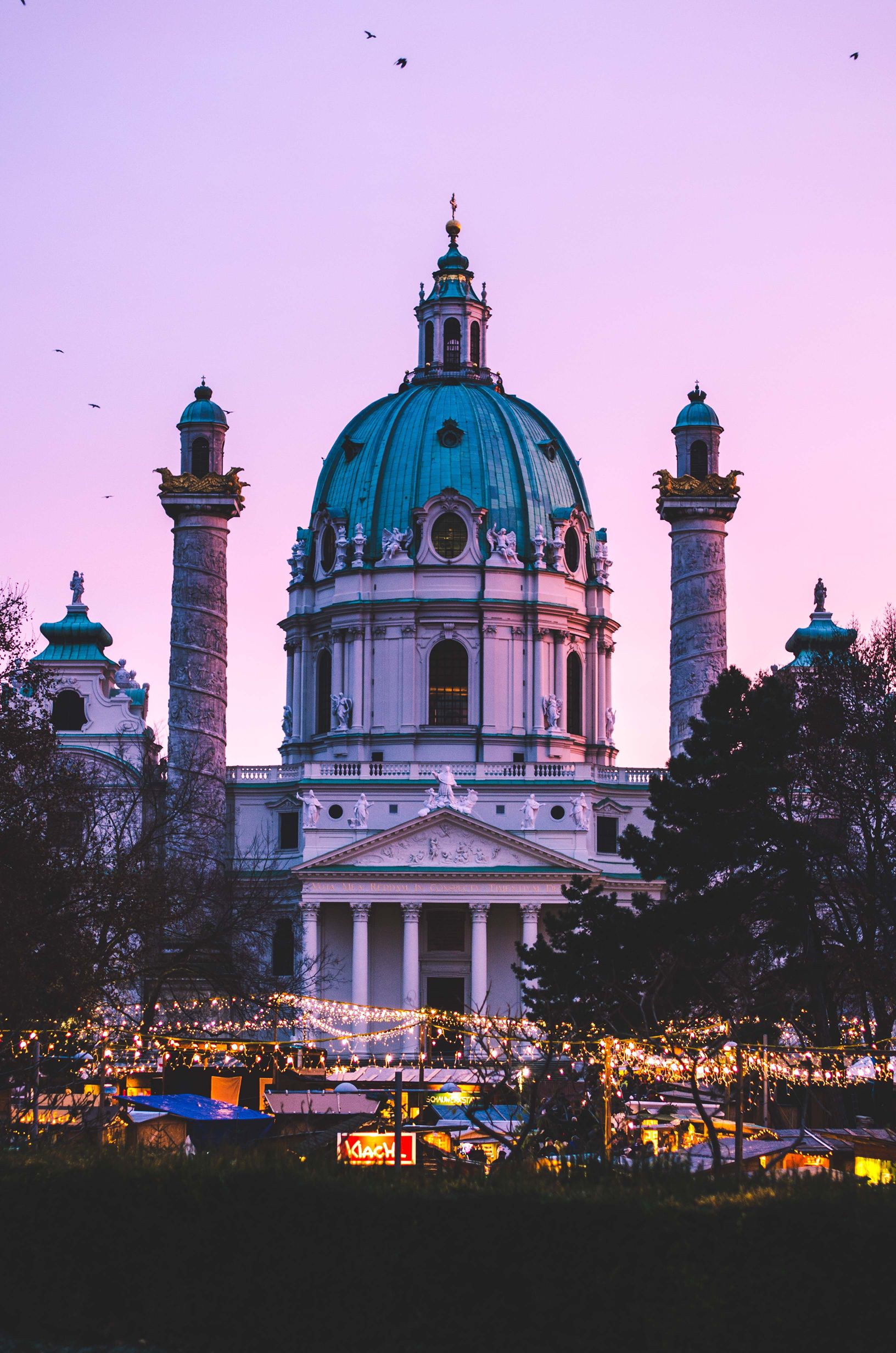 VIENA 6
